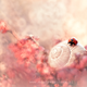 Illustration for article titled Wildlife photos that blur the line between reality and fantasy